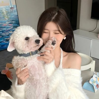 美感游击队